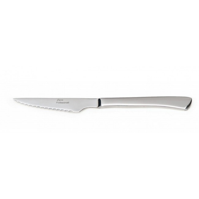 ZB 01 STEAK BIÇAK 22 CM